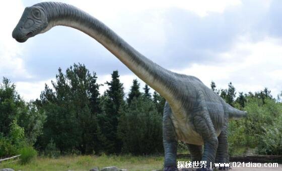 世界上唯一一只恐龙，刚果恐龙(竟被人杀了吃了)