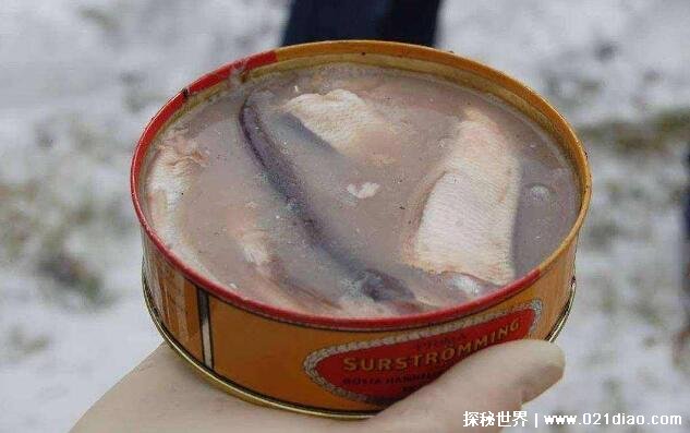 鲱鱼罐头为什么这么臭，自然发酵导致(用水清洗之后吃根本不臭)