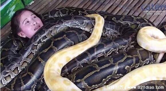 中国最吓人的一条巨蛇，50米长的千年恐怖巨蛇(民间传说)