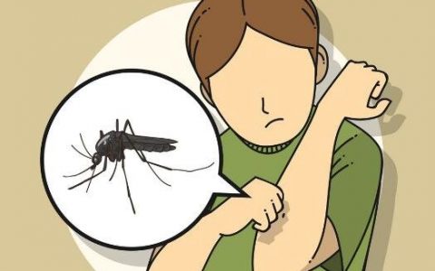 蚊子只吸人血吗动物血吃吗，几乎不挑食啥血都吃(仅限母蚊子)