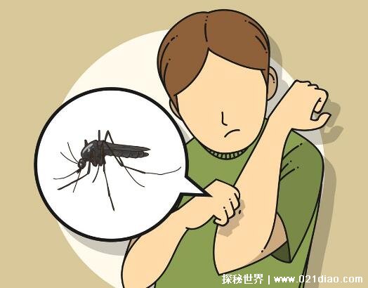 蚊子只吸人血吗动物血吃吗，几乎不挑食啥血都吃(仅限母蚊子)