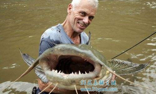 坦克鸭嘴鱼:喜欢吃尸体的河中巨怪 一口倒齿直接拖入水中