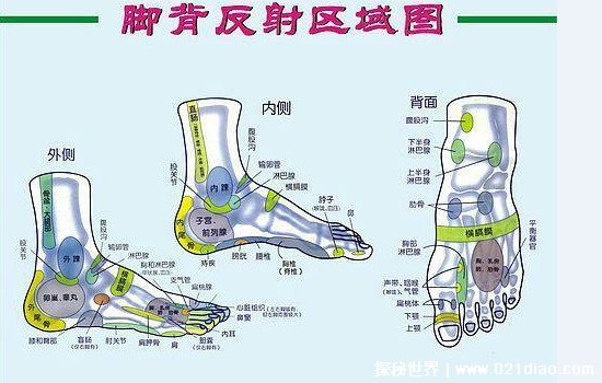 脚的各个部位详细图图解，这些部位不正常的需要注意了