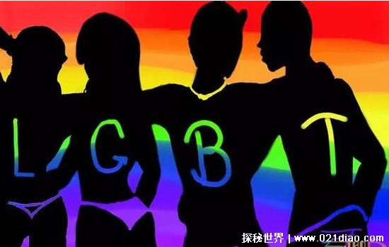 lgbt是什么意思啊，指的是性少数群体(同性恋/双性恋这些都是)