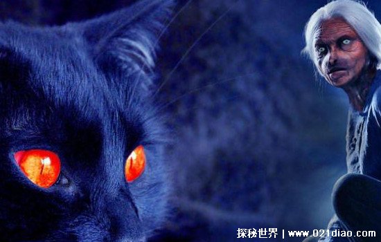 哈尔滨猫脸老太太事件真相大揭秘，据说是猫妖附身出现诈尸