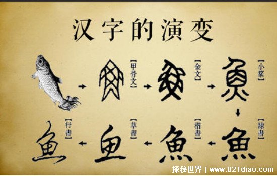 汉字的演变过程，最早从甲骨文开始演化(至今已有几千年历史)