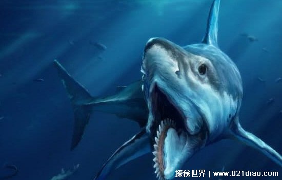 已经灭绝的旋齿鲨有天敌吗，两亿年前海洋霸主(复原图片长这样)