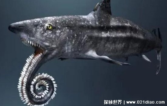 已经灭绝的旋齿鲨有天敌吗，两亿年前海洋霸主(复原图片长这样)