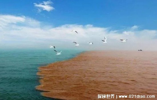 黄河入海口在哪里是什么海图片，山东省东营市渤海