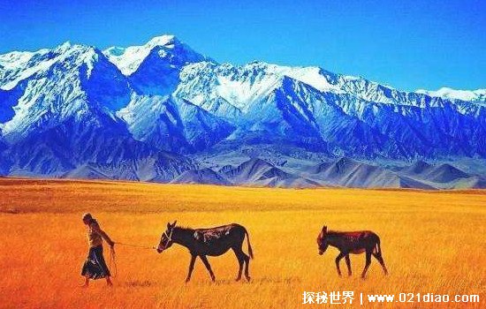 昆仑山在哪个省哪个市哪县地图，地跨中国青海/四川/新疆/西藏