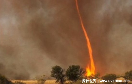 火焰龙卷风是怎么形成的视频，火焰燃烧的高温和涌动风流造成