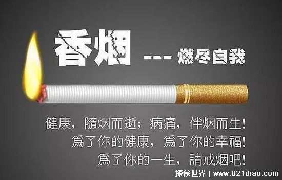 2021小熊猫家园细支香烟多少一包，18块钱一包(综合评分还不错)