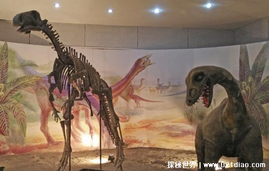 刚果恐龙1981年照片，揭秘刚果恐龙事件的真相(一点就可判真假)