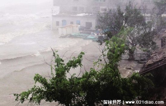 史上最强台风21级叫什么名，泰培(近十万人受灾/房屋全成废墟)