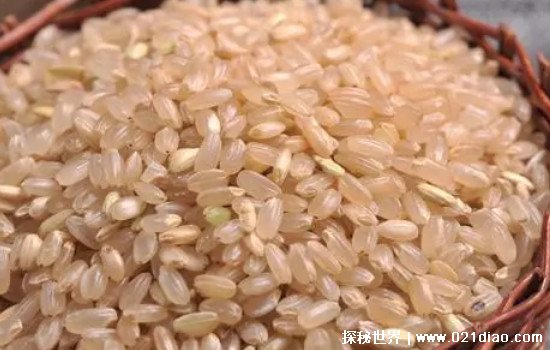 糙米是什么米，稻谷脱壳后不加工的全谷粒米(营养价值很高)