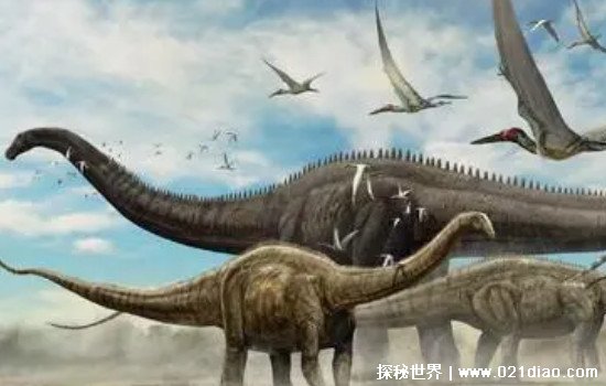 最大的恐龙，易碎双腔龙(体长58米重达220吨/比蓝鲸还要大)
