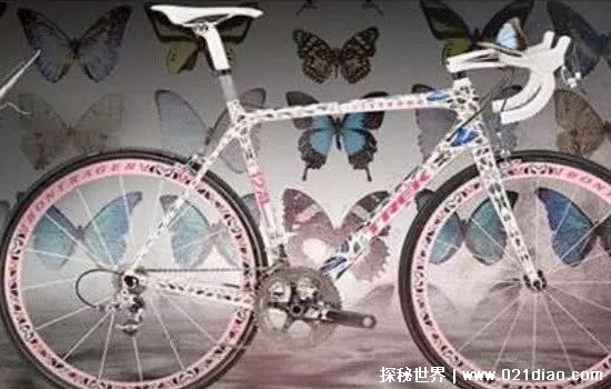 蝴蝶自行车价格3200万，世界上最贵的自行车(蝴蝶翅膀做涂层)