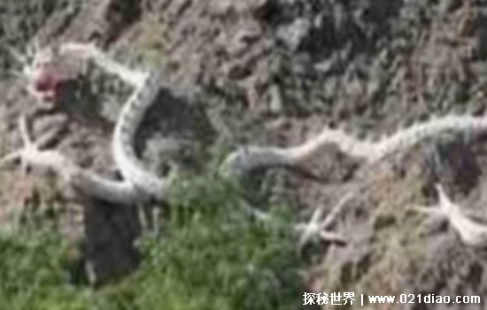 中国最恐怖的山，昆仑山死亡谷(出现神秘雷电电死了牧民)