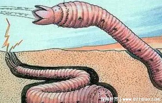远古蠕虫图片