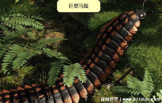 蒙古死亡蠕虫真的存在吗，一些科学家认为存在(还有人亲眼见过)