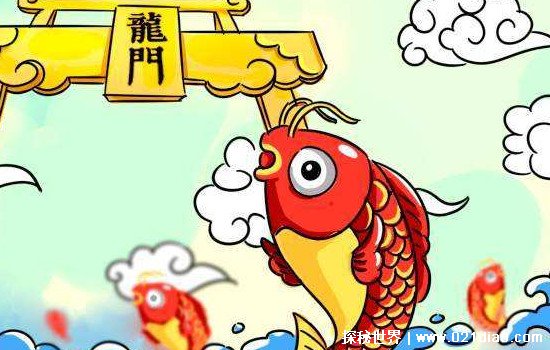 日本为什么要挂鲤鱼旗，庆祝男孩子的节日(原本是端午节习俗)