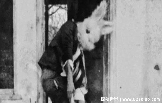 世界上有兔人吗，曾残忍杀死几十人(其实是美国都市传说)
