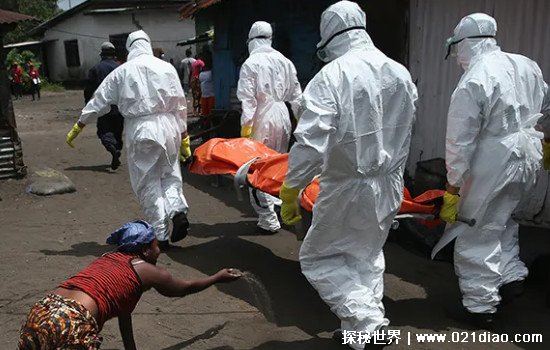世界上第一恐怖的病毒，埃博拉病毒(致死率高达90%)