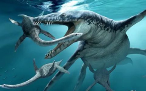 海洋霸主沧龙有多恐怖，灭绝了好几种当时的顶级捕食者