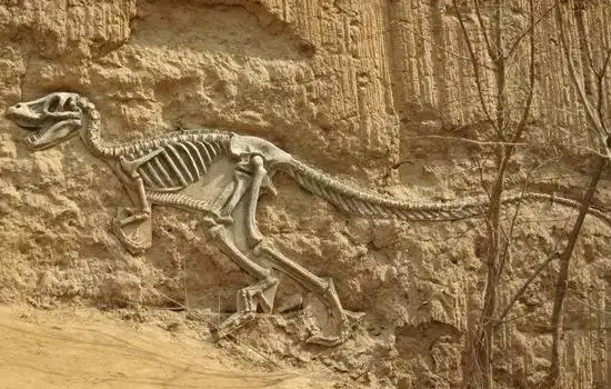 最早发现恐龙的人，吉迪恩曼特尔(一位英国产科医生)
