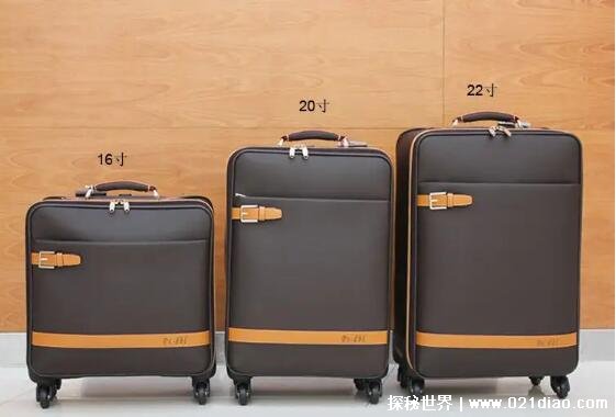 飞机行李箱尺寸要求，长宽高之和不超过115cm(20寸及以下)