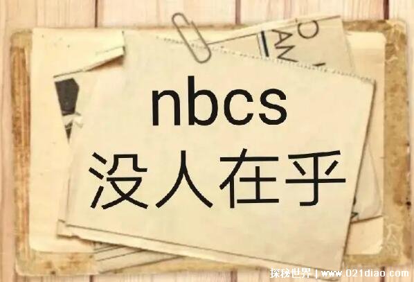 nbcs是什么意思的缩写，nobody cares的缩写(指没人在乎)