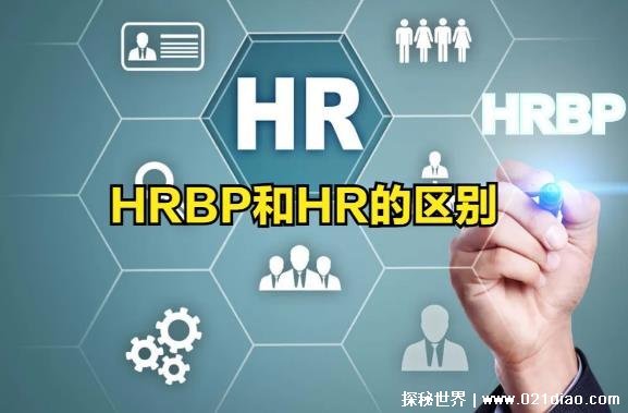 hrbp是什么职位和hr的区别，hrbp是专注于业务部门的hr