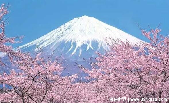 富士山是活火山还是死火山，活火山(休眠了300年近日即将喷发)