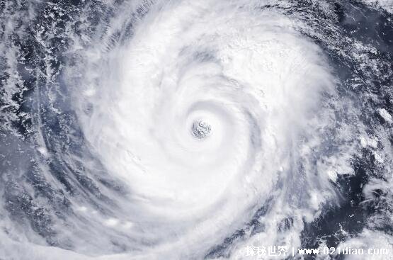 台风风力最大的部位是哪个地方，云墙区(风眼之外像云的区域)