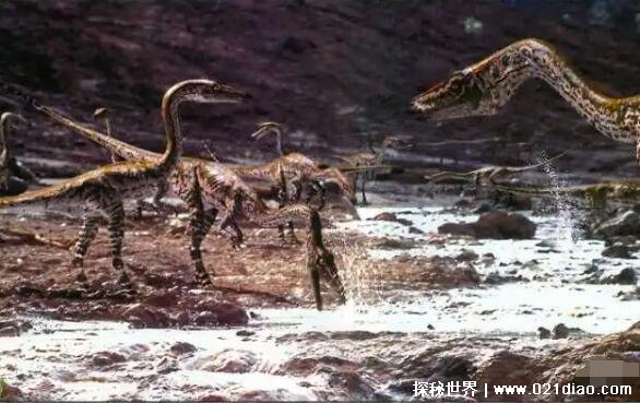 恐龙的祖先是什么动物，槽齿类爬行动物(出现于2.5亿年前)