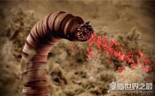 科幻般的蒙古死亡蠕虫真的存在，能放出强电流秒杀数米外生物