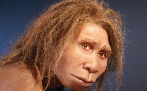 世界上第一个人类，露西少女(距今300万年非洲山谷中的古人类)