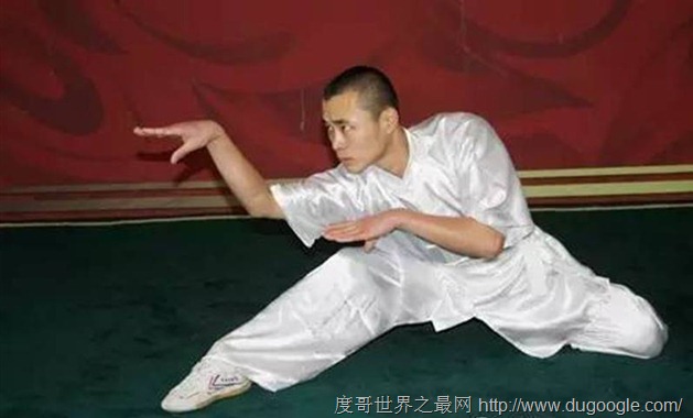 盘点中国十大以动物命名的中国拳法