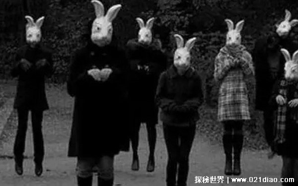 十只兔子谁是凶手，十兔子是凶手(五兔子惨死)