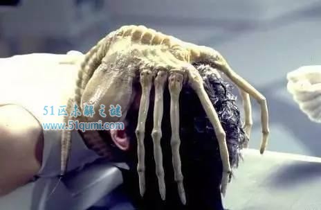 抱脸虫:专门扑人脸的外星生物 它是如何寄生在宿主身上?