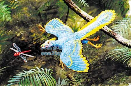 始祖鸟是什么动物?始祖鸟是鸟类的祖先吗?