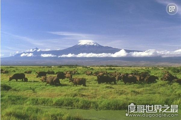 世界上最大的高原，巴西高原面积超过半个中国(500多万平方千米)