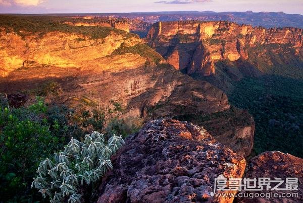 世界上最大的高原，巴西高原面积超过半个中国(500多万平方千米)