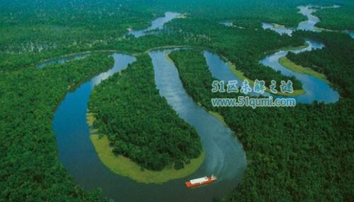 世界六大森林 亚马逊森林被誉为绿色的心脏