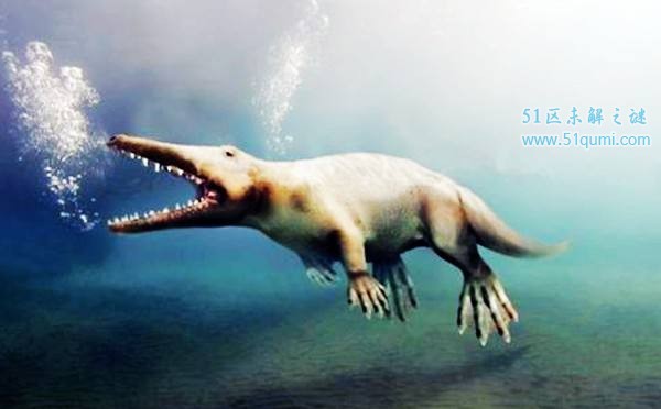 游走鲸:水路两栖的史前生物 为什么迁移到水中?