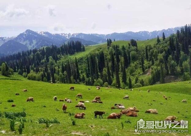 世界上最低的盆地，新疆吐鲁番盆地(海拔最低处-154米)