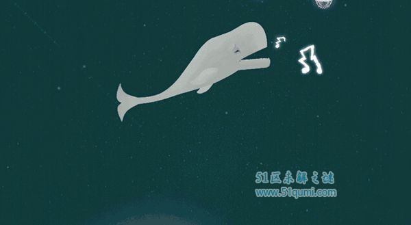 世界上最孤独的鲸鱼 "52赫兹"也许并不孤独