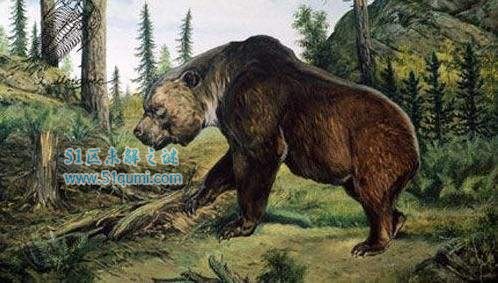 巨型短面熊:史前北美最强大的霸主 它是因何灭绝的?