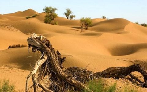 世界最大的流动沙漠-塔克拉玛干沙漠