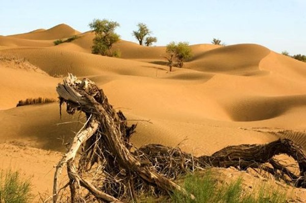 世界最大的流动沙漠-塔克拉玛干沙漠